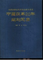 中国改革20年规划总集 构筑社会主义市场经济的蓝图