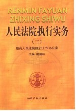 人民法院执行实务 2