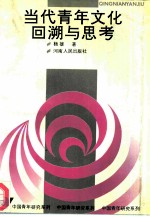 当代青年文化回溯与思考