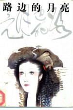 路边的月亮