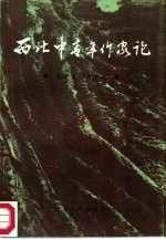 西北中青年作家论