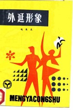 外延形象