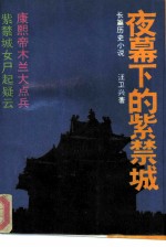 夜幕下的紫禁城 长篇历史小说