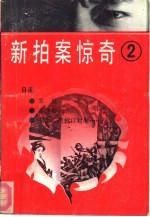 新拍案惊奇 2
