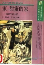 家,甜蜜的家 家庭生活小说