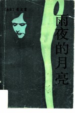 雨夜的月亮