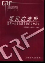 现实的选择 国有小企业改革实践的初步总结