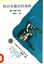 相会在最后的岛屿 中篇小说选