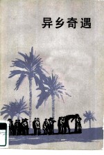异乡奇遇