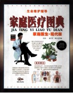 家庭医疗图典