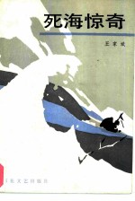 死海惊奇