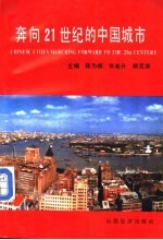 奔向21世纪的中国城市 城市科学纵横谈 A general view on urban science