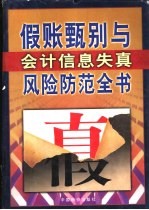 假帐甄别与会计信息失真风险防范全书 上