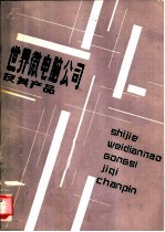 世界微电脑公司及其产品