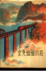 金光灿灿的路 报告文学集