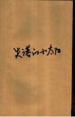 失落的小太阳 拐卖儿童纪实
