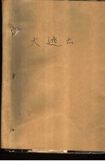 大逃亡 外国社会纪实畅销书精选