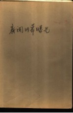 新闻内幕曝光