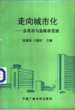 走向城市化 县改市与县级市发展