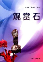 观赏石