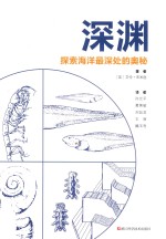 深渊 探索海洋最深处的奥秘