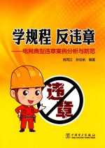 学规程 反违章 电网典型违章案例分析与防范