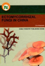 中国外生菌根菌 英文版