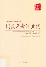 国民革命军北伐亲历记