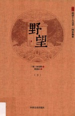 徐州明清十人文萃 阎尔梅集 野望 下