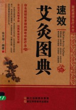 速效艾灸图典