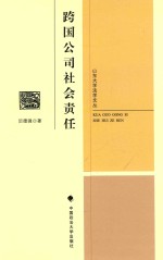 跨国公司社会责任