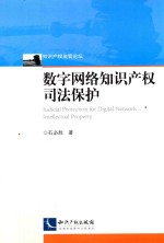 数字网络知识产权司法保护