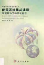 能源系统集成建模政策驱动下的低碳转型