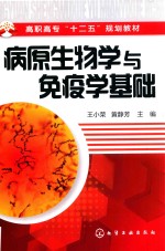病原生物学与免疫学基础
