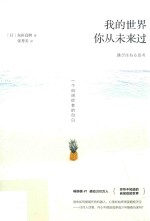 我的世界 你从未来过
