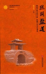 玉帛之路文化考察丛书 丝路盐道