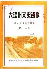 大理州文史资料 重点项目建设续辑 第11集