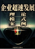 企业超速发展 理论 模式 案例 第2卷