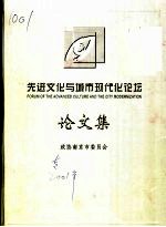 先进文化与城市现代化论坛论文集