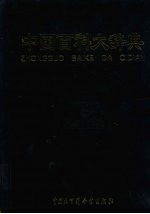 中国百科大辞典 1