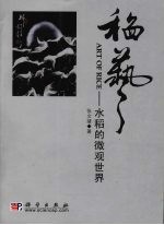 稻艺 水稻的微观世界