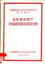 在改革形势下华东能源问题及其综合对策