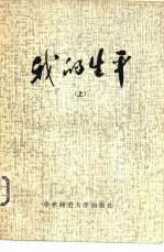 我的生平 上下