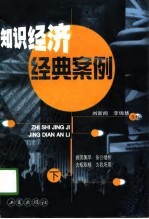 知识经济经典案例 下