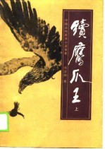 中国近代武侠小说名著 续鹰爪王 下