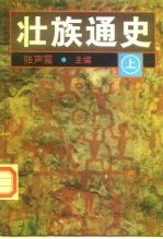 壮族通史 下