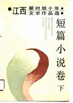 江西新时期十年文学作品选 短篇小说卷 下