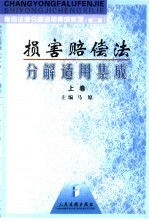 损害赔偿分解适用集成 中