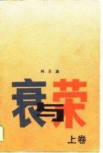 衰与荣 下