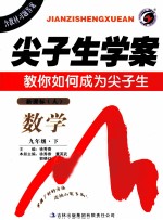 尖子生学案 数学 九年级 下 新课标 人